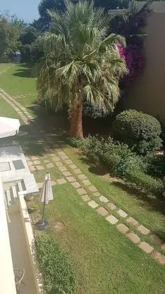 Apart Daire, 1 Yatak Odası (2-4 Adults)