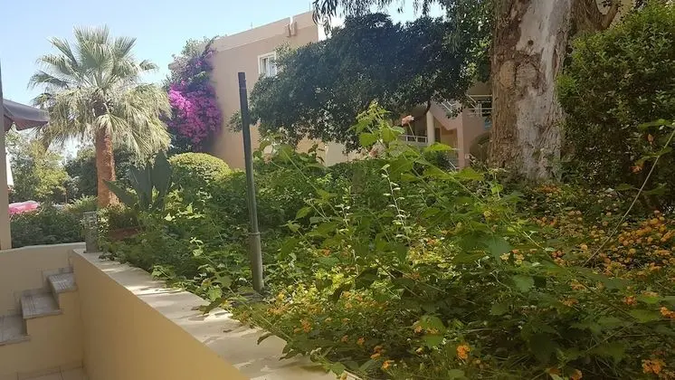 Apart Daire, 1 Yatak Odası, Veranda