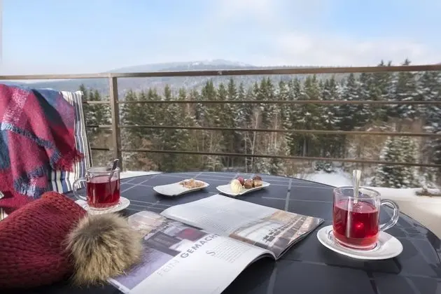 Comfort Oda, 1 Yatak Odası, Dağ Manzaralı, Köşe