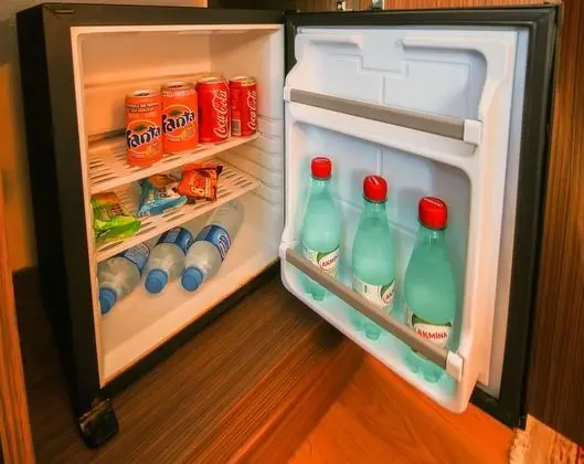 Mini-refrigerator