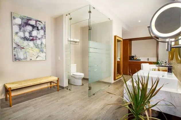 1 Bedroom Sierra Suite *250 USD Resort Credit