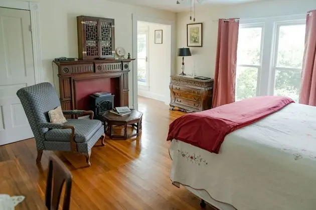 Deluxe Tek Büyük Yataklı Oda (Elena)