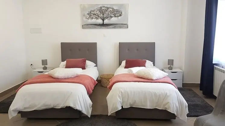 Deluxe Tek Büyük veya İki Ayrı Yataklı Oda