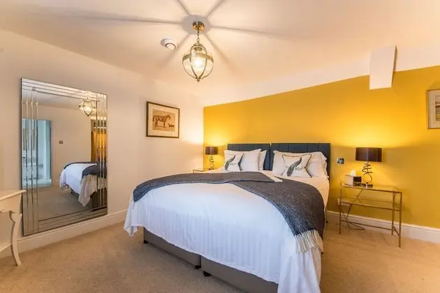 Superior Tek Büyük Yataklı Oda