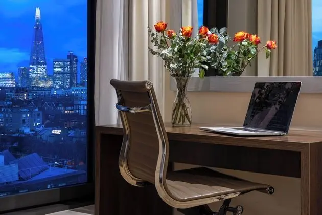 Premium Studio, 1 King Bed, City View