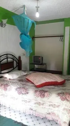 Deluxe Süit, 1 Çift Kişilik Yatak