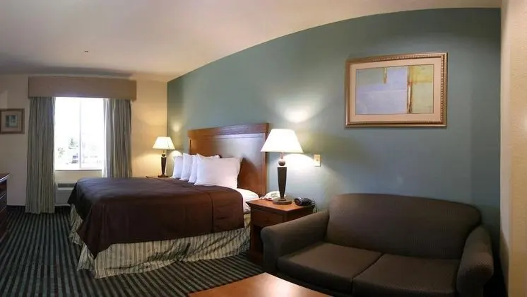 Standard Stüdyo Süit