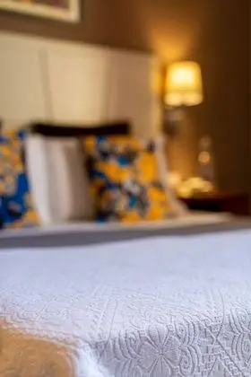 Junior Tek Büyük Yataklı Oda, 1 Yatak Odası, Buzdolabı ve Mikrodalga, Şehir Manzaralı