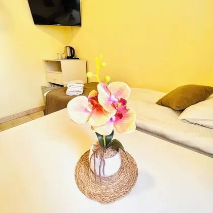 Standard Tek Büyük veya İki Ayrı Yataklı Oda