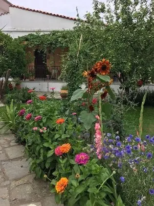 Oda, 1 Yatak Odası, Sigara İçilebilir, Balkon