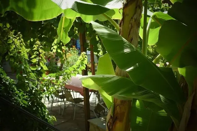 Oda, 1 Yatak Odası, Sigara İçilebilir, Balkon