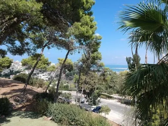Tek Kişilik Oda