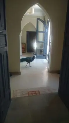 Ev, Birden Çok Yatak