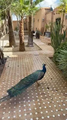 Ev, Birden Çok Yatak