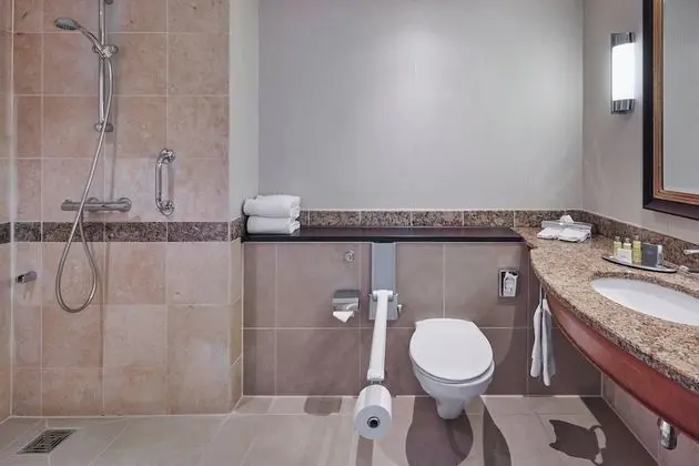 Deluxe Oda, 1 En Büyük (King) Boy Yatak, Şehir Manzaralı