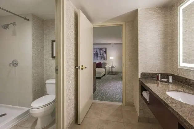 Luxury Süit, 1 Yatak Odası, Sigara İçilmez
