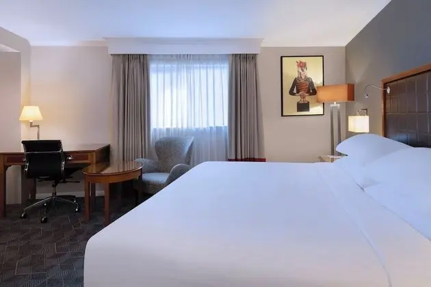 Deluxe Oda, 1 Çift Kişilik Yatak