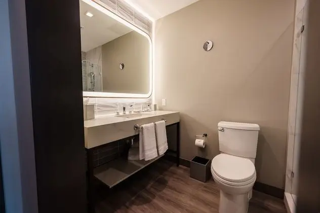 Standard Oda, 1 En Büyük (King) Boy Yatak, Sigara İçilmez, Şehir Manzaralı