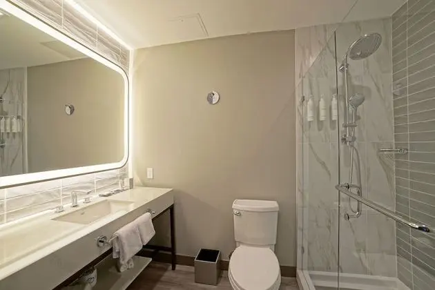 Standard Oda, 1 En Büyük (King) Boy Yatak, Sigara İçilmez, Şehir Manzaralı