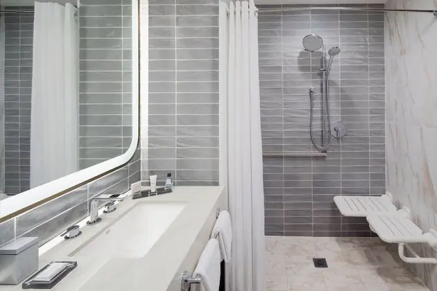 Standard Oda, 1 En Büyük (King) Boy Yatak, Sigara İçilmez, Şehir Manzaralı