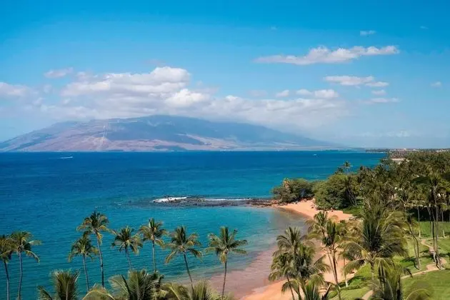 Premium Oda, 1 En Büyük (King) Boy Yatak, Okyanus Manzaralı (Mobility Accessible, Roll-In Shower)
