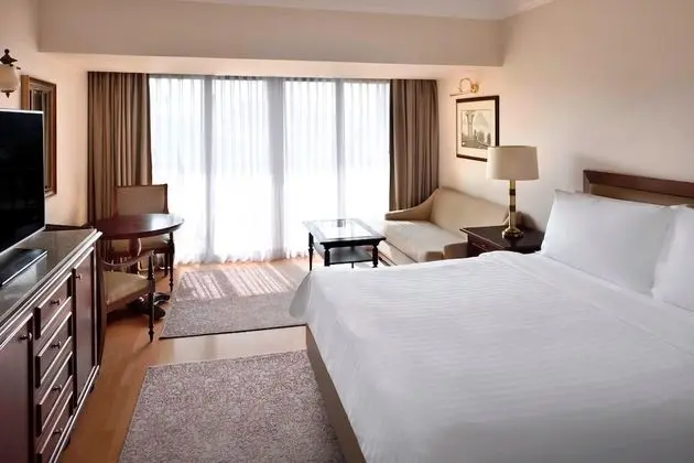 Executive Oda, 1 En Büyük (King) Boy Yatak, Sigara İçilebilir, Balkon