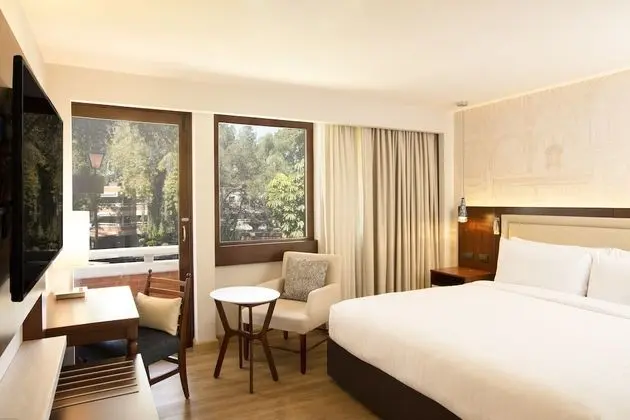 Deluxe Oda, 1 En Büyük (King) Boy Yatak (Pool Access)