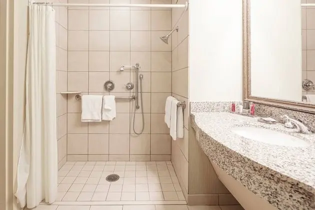 Oda, 1 En Büyük (King) Boy Yatak, Balkon (Mobility Accessible, Tub)