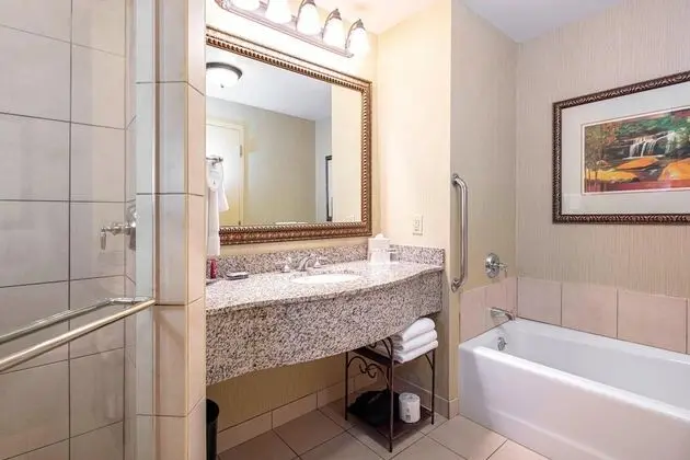 Oda, 1 En Büyük (King) Boy Yatak, Balkon (Mobility Accessible, Tub)