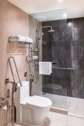 Süit, 1 Yatak Odası, Sigara İçilmez, Balkon