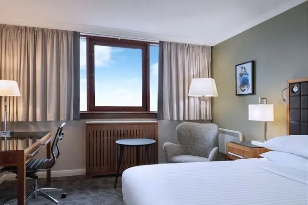 Deluxe Oda, 1 Çift Kişilik Yatak