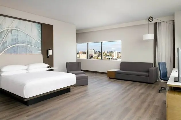 Executive Süit, 1 En Büyük (King) Boy Yatak ve Çekyat, Şehir Manzaralı, Köşe