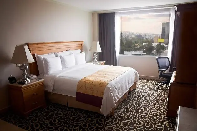 Deluxe Oda, 1 En Büyük (King) Boy Yatak, Şehir Manzaralı