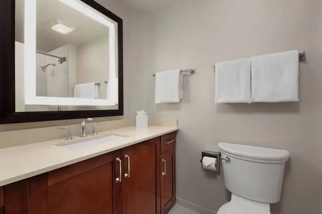 Oda, 1 En Büyük (King) Boy Yatak ve Çekyat, Balkon (Mobility Accessible, Roll-In Shower)
