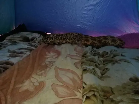 Çadır (3 Persons - No Bed, Mattress Only)