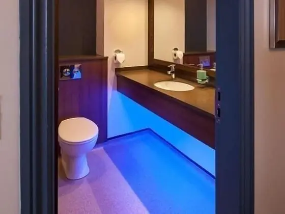 Tek Büyük Yataklı Oda, Banyolu/Duşlu (and Shower)