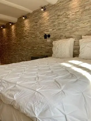 Tek Büyük Yataklı Oda (Cour 1)