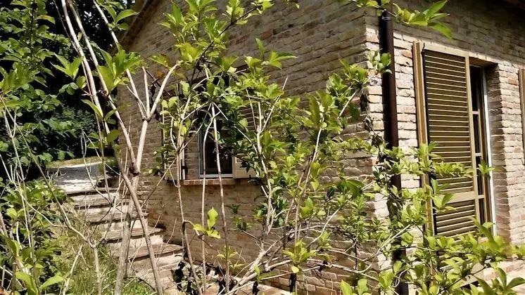 Economy Tek Büyük veya İki Ayrı Yataklı Oda, Bahçe Manzaralı