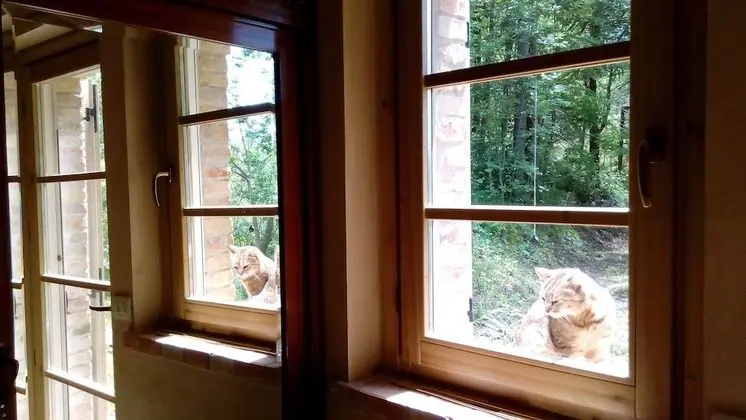 Economy Tek Büyük veya İki Ayrı Yataklı Oda, Bahçe Manzaralı