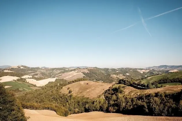Family Oda, Tepe Manzaralı