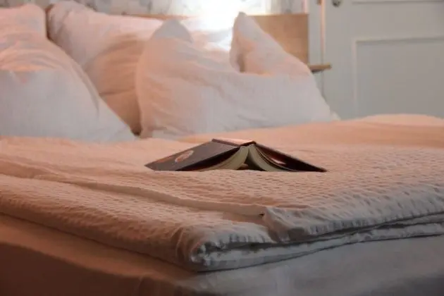 Stüdyo ( 2 Single Beds)