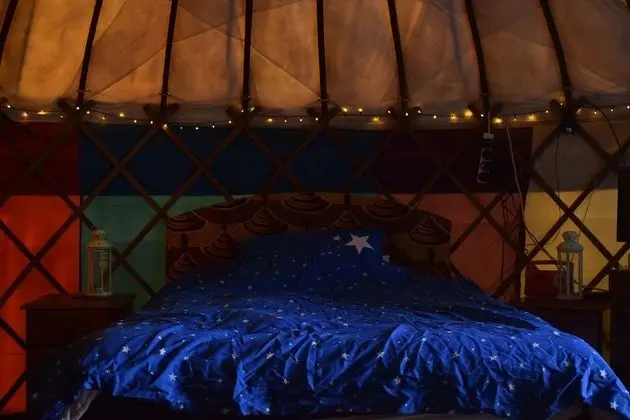 Deluxe Tek Büyük Yataklı Oda (Yurt)