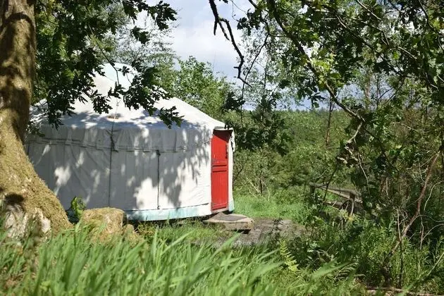 Family Oda, Dağ Manzaralı (Yurt)