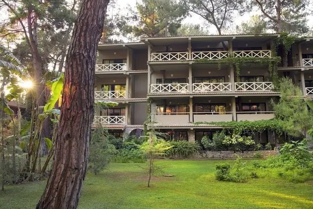 Superior Room, Forest View