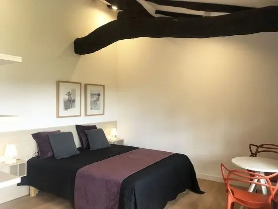 Deluxe Tek Büyük Yataklı Oda (Hiru)