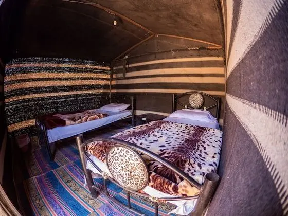 Basic Çadır, 2 Tek Kişilik Yatak