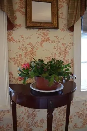 Oda, 1 Büyük (Queen) Boy Yatak (Typhoon)