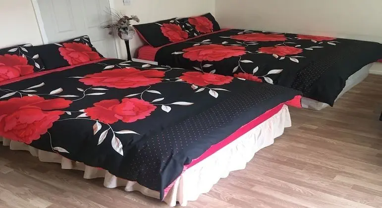 Basic Stüdyo (Studio)