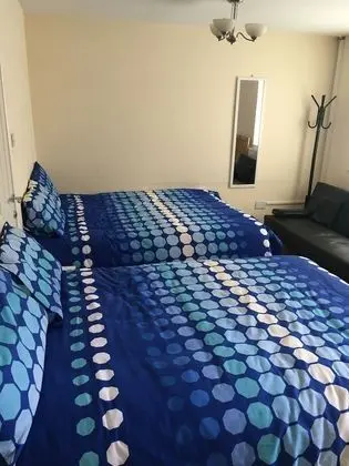 Basic Stüdyo (Studio)