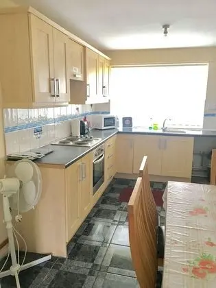 Basic Stüdyo (Studio)